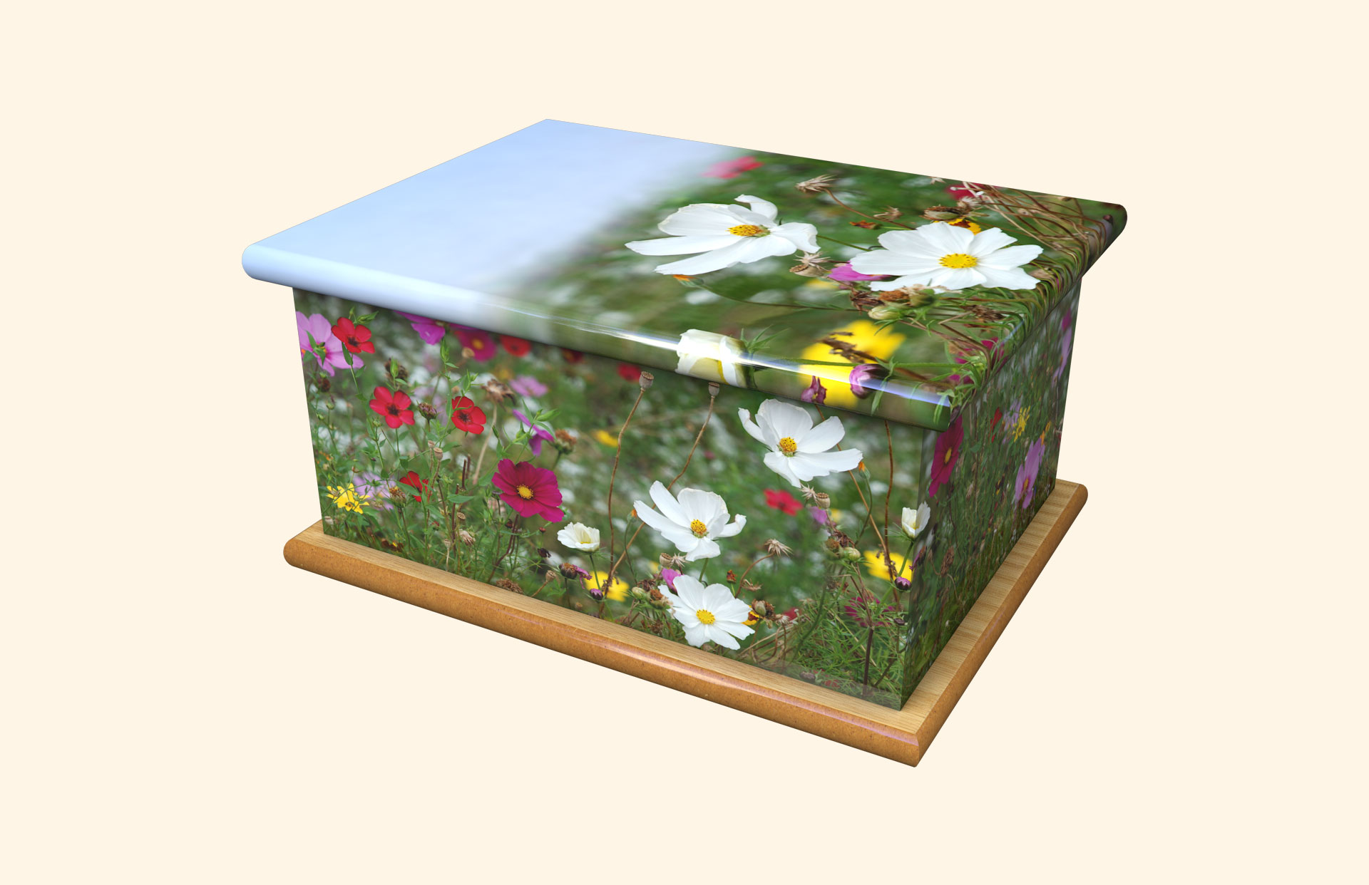Walk on the Wilde Side adult ashes casket